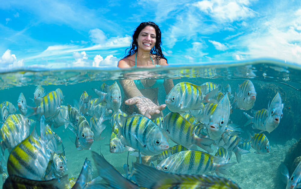 Porto de Galinhas - O Paraíso das Piscinas Naturais