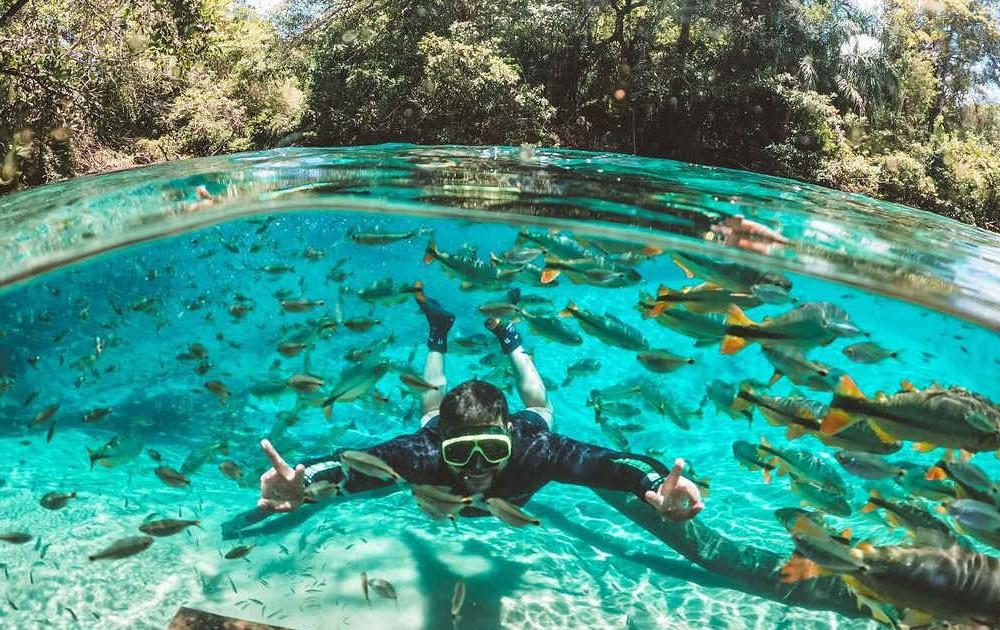 Bonito - O Paraíso das Águas