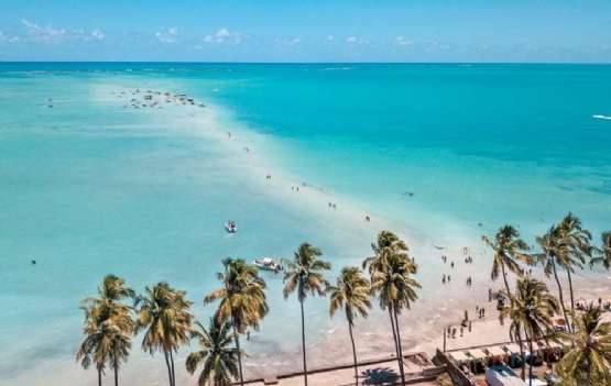 Maceió - O Cabibe Brasileiro