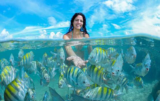 Porto de Galinhas - O Paraíso das Piscinas Naturais