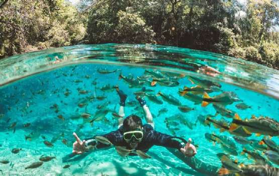 Bonito - O Paraíso das Águas